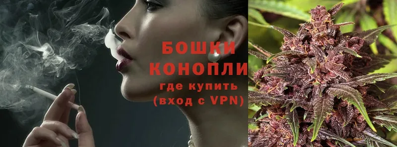 Бошки Шишки план  где продают   Галич 